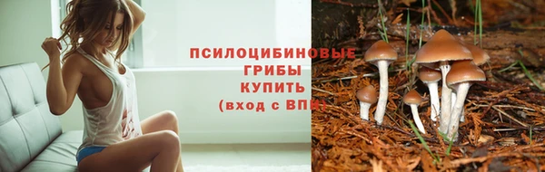твердый Абаза