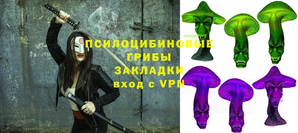 твердый Абаза